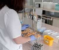 AI in Medical Diagnostics: A New Era